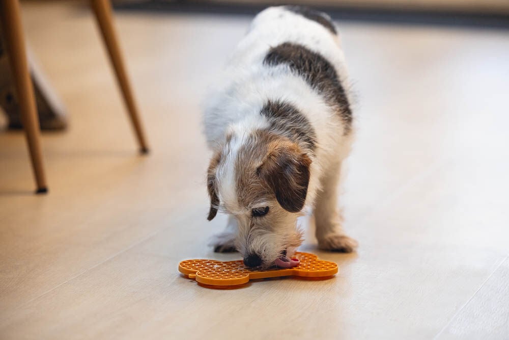 Beeztees Botje - Likmat