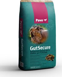 Pavo GutSecure - Specialiteit - Paardenvoer - 15 Kilogram