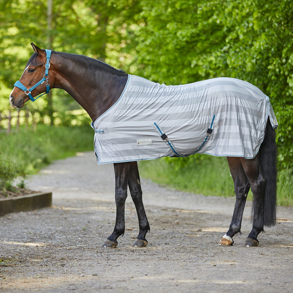 Waldhausen Economic - Vliegendeken - Paardendeken