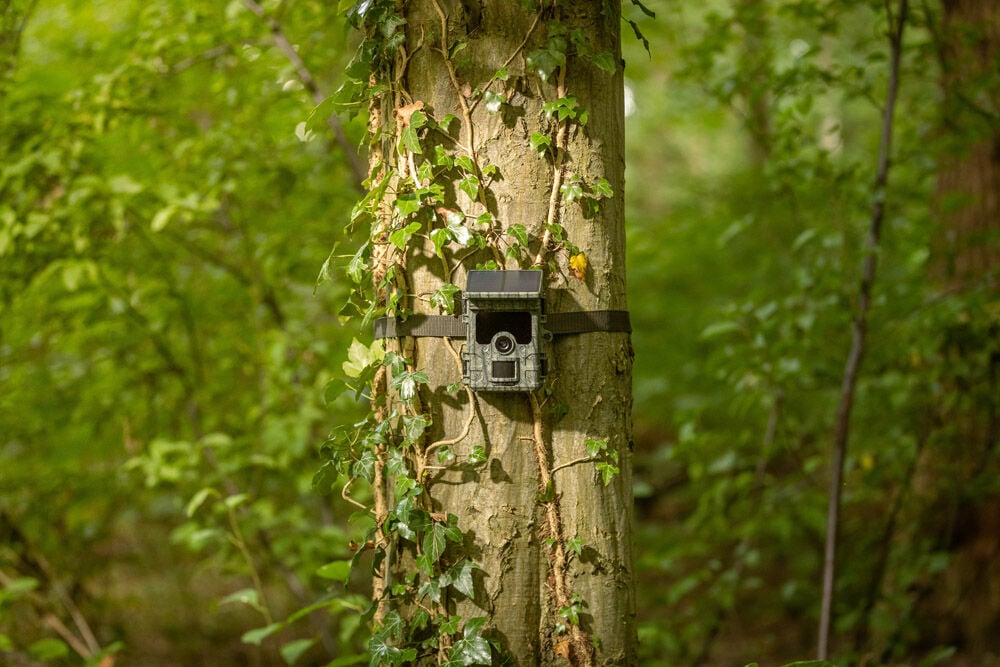 Camouflage EZ Solar - Wildcamera met Wifi en Zonnepaneel - 9x10.9x14 cm