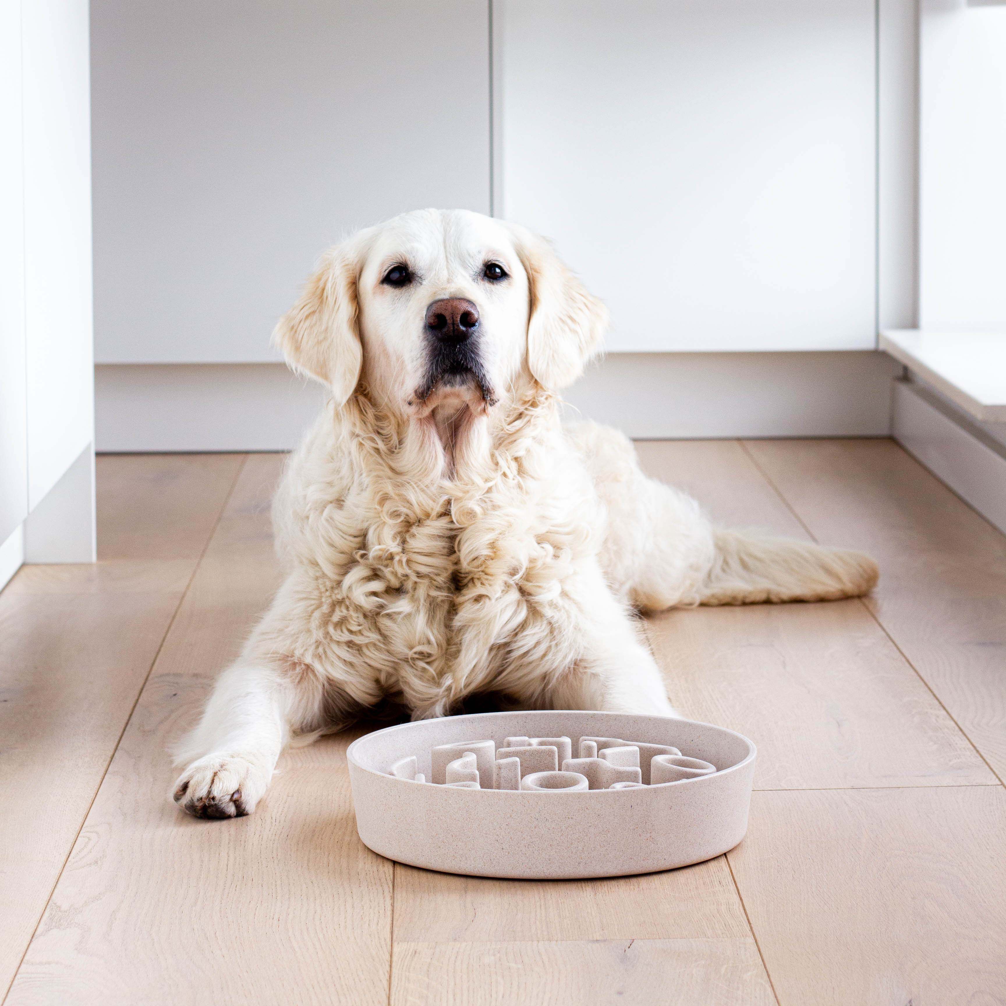 District 70 Bamboe - Anti schrokbak - Beige - 28 cm