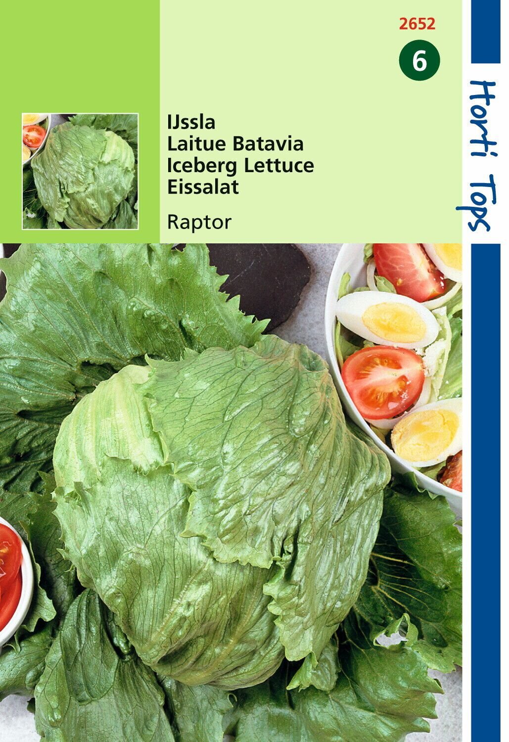 Hortitops Ijssla Lactuca sativa Raptor (vh Dublin) - Groentezaden