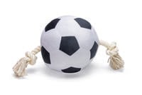 Beeztees Voetbal Pluche - Knuffels - Flostouw - Hondenspeelgoed