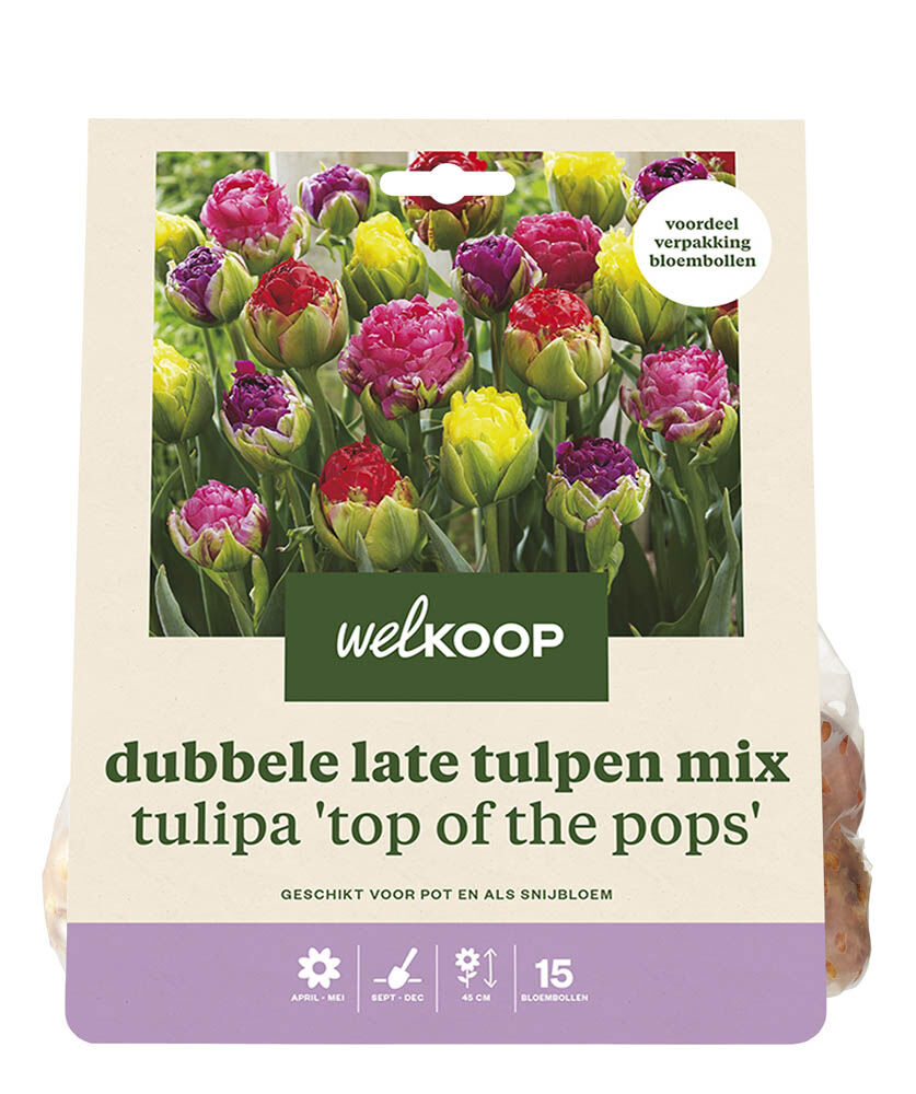 Welkoop Dubbele Tulpen mix Manon - Bloembollen