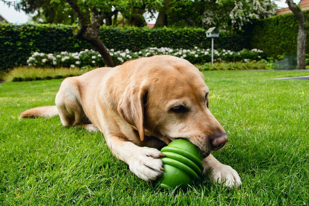 Beeztees Sumo Play - Vulbaar Hondenspeelgoed - groen - 15x20x10.8 cm - L