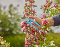 Gardena EasyCut - Snoeischaar - Blauw