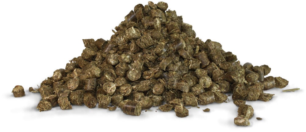 Hartog Haycobs - Specialiteit - Paardenvoer - 15 Kilogram