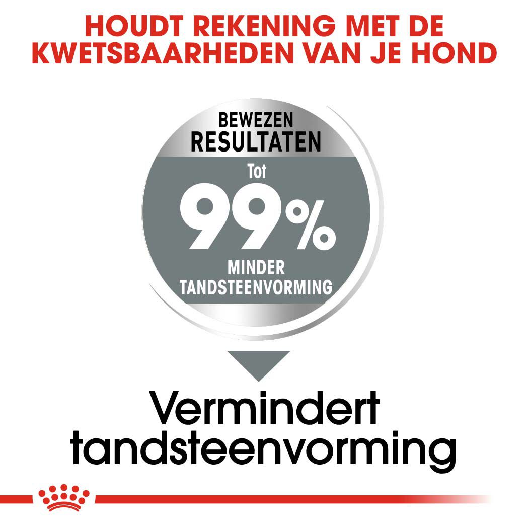 Royal Canin Dental Care Medium - Hondenvoer - 10 Kilogram - gevogelte