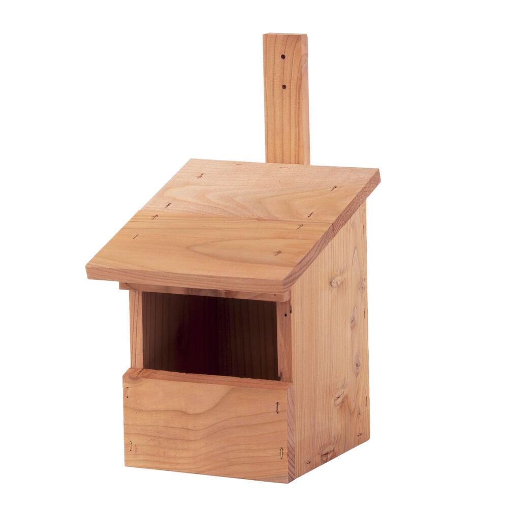Welkoop Nestkast - Roodborst