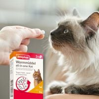 Beaphar all-in-one Tabletten - Ontwormen Kat en Kittens - 2 Stuks