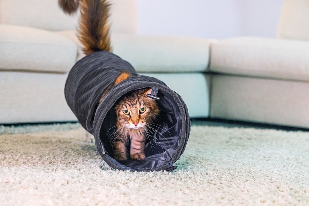 Designed by Lotte Rib - Kattentunnel - Terracotta