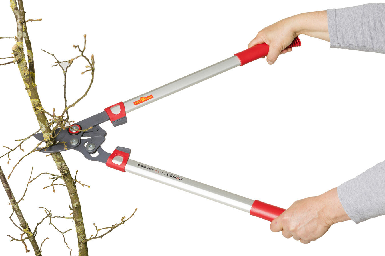 WOLF-Garten RR 650 Basic Plus - Takkenschaar