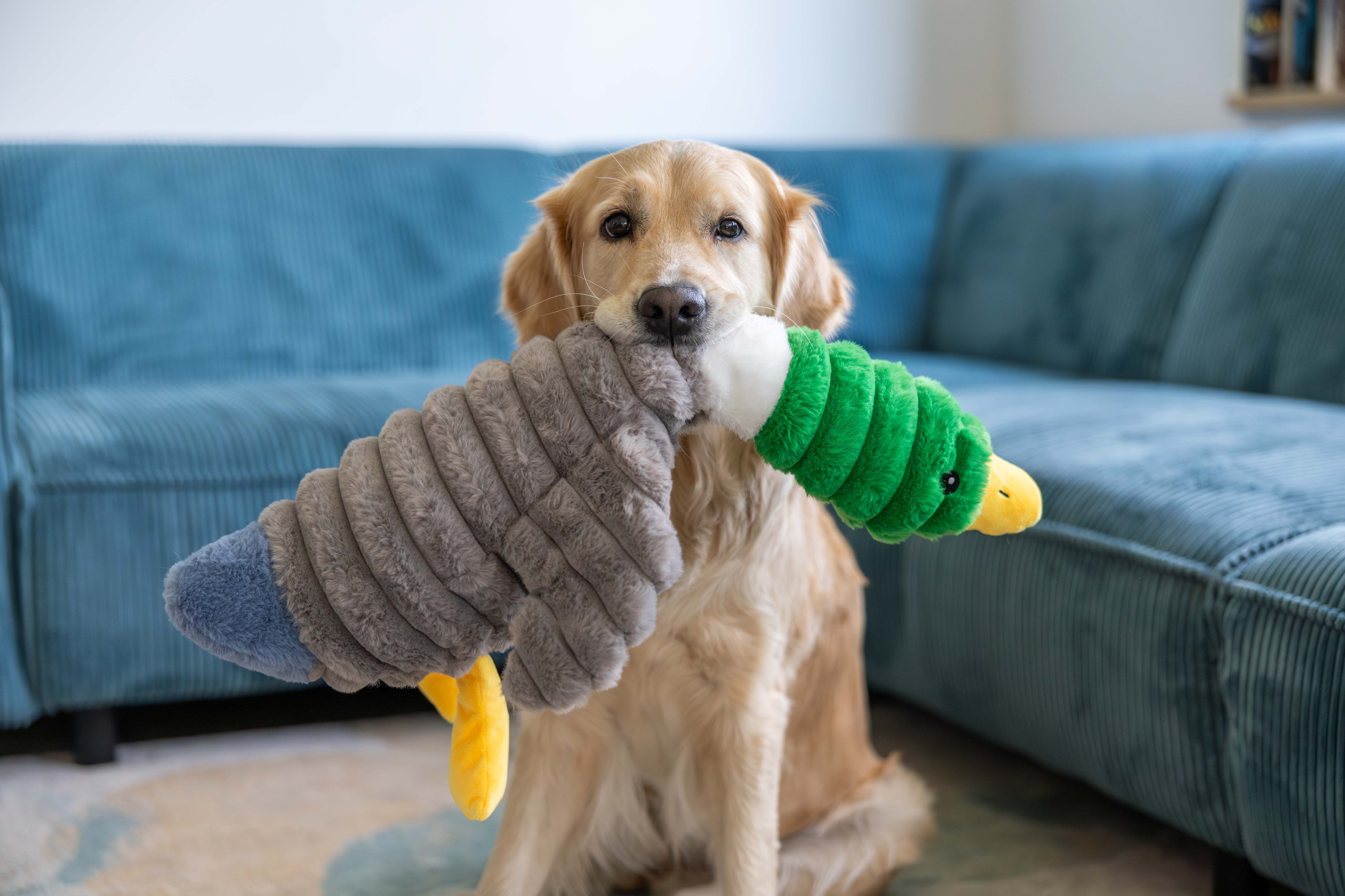 Quapas Eend Knuffel - Hondenspeelgoed - 20x25x66 cm - XL