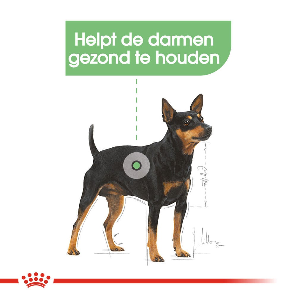 Royal Canin Digestive Care Wet - Hondenvoer - 1020 Gram - gevogelte