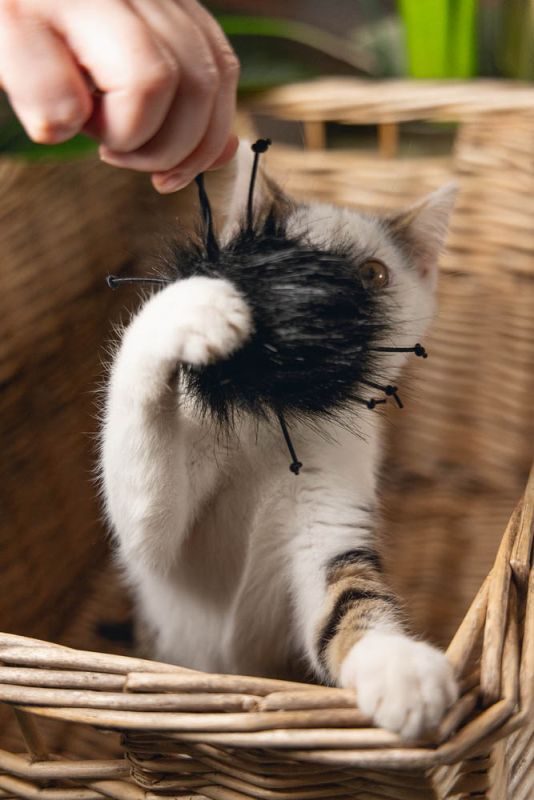 Beeztees Sila Jungle - Kattenspeeltje - Zwart