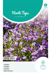 Hortitops  Lobelia Crystal Palace - Bloemzaden