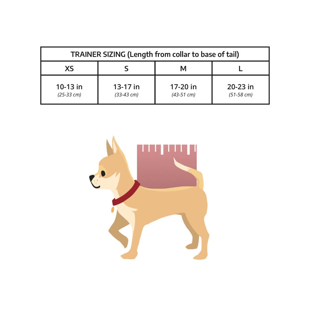 K9 Sport Sack Trainer - Hondenrugzak - Turquoise - xx cm - Medium