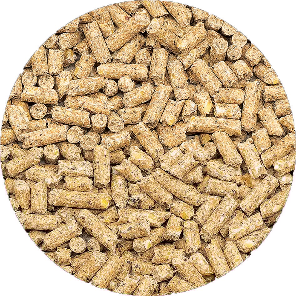 Welkoop Kippenkorrel - Kippenvoer - 5 Kilogram