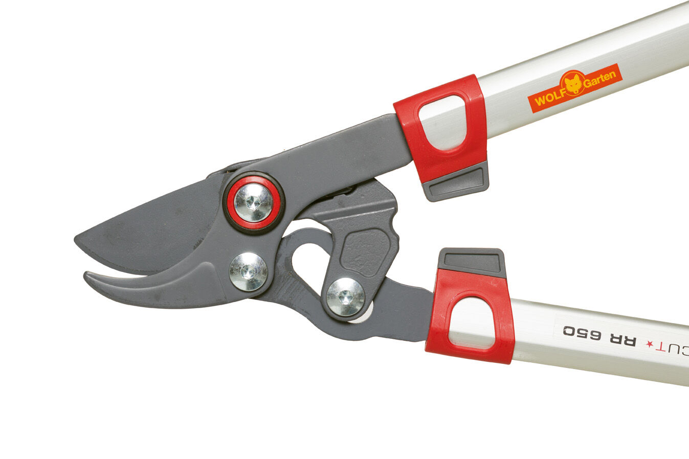 WOLF-Garten RR 650 Basic Plus - Takkenschaar