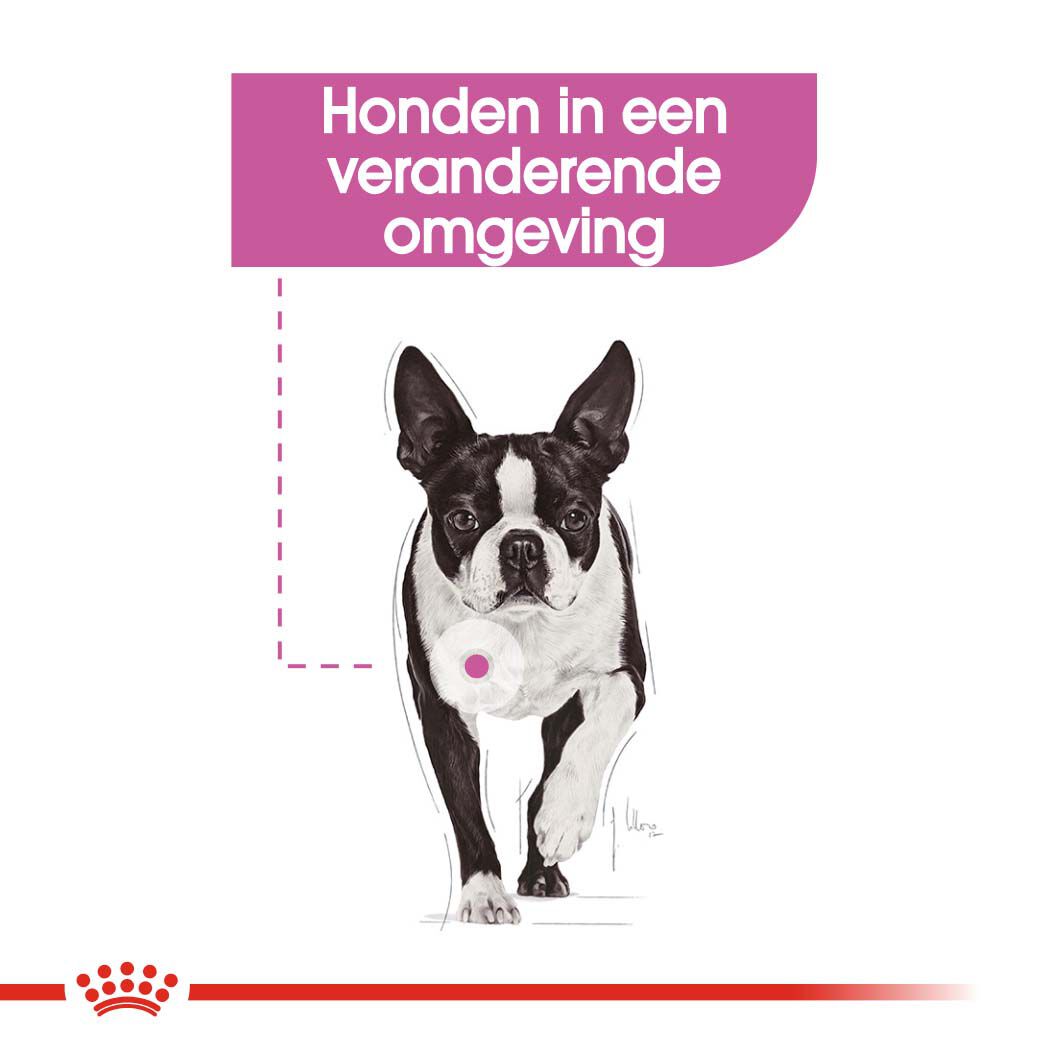 Royal Canin Relax Care Mini - Hondenvoer - 3 Kilogram - gevogelte