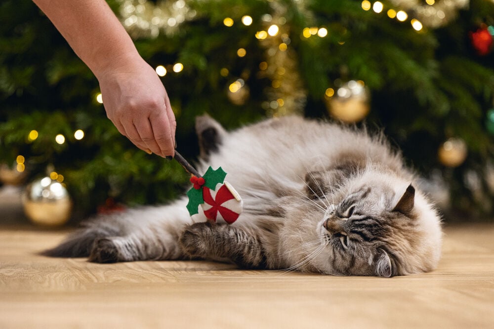 Beeztees Kerstlolly Matatabi - Kattenspeeltje - Multi - 14 cm