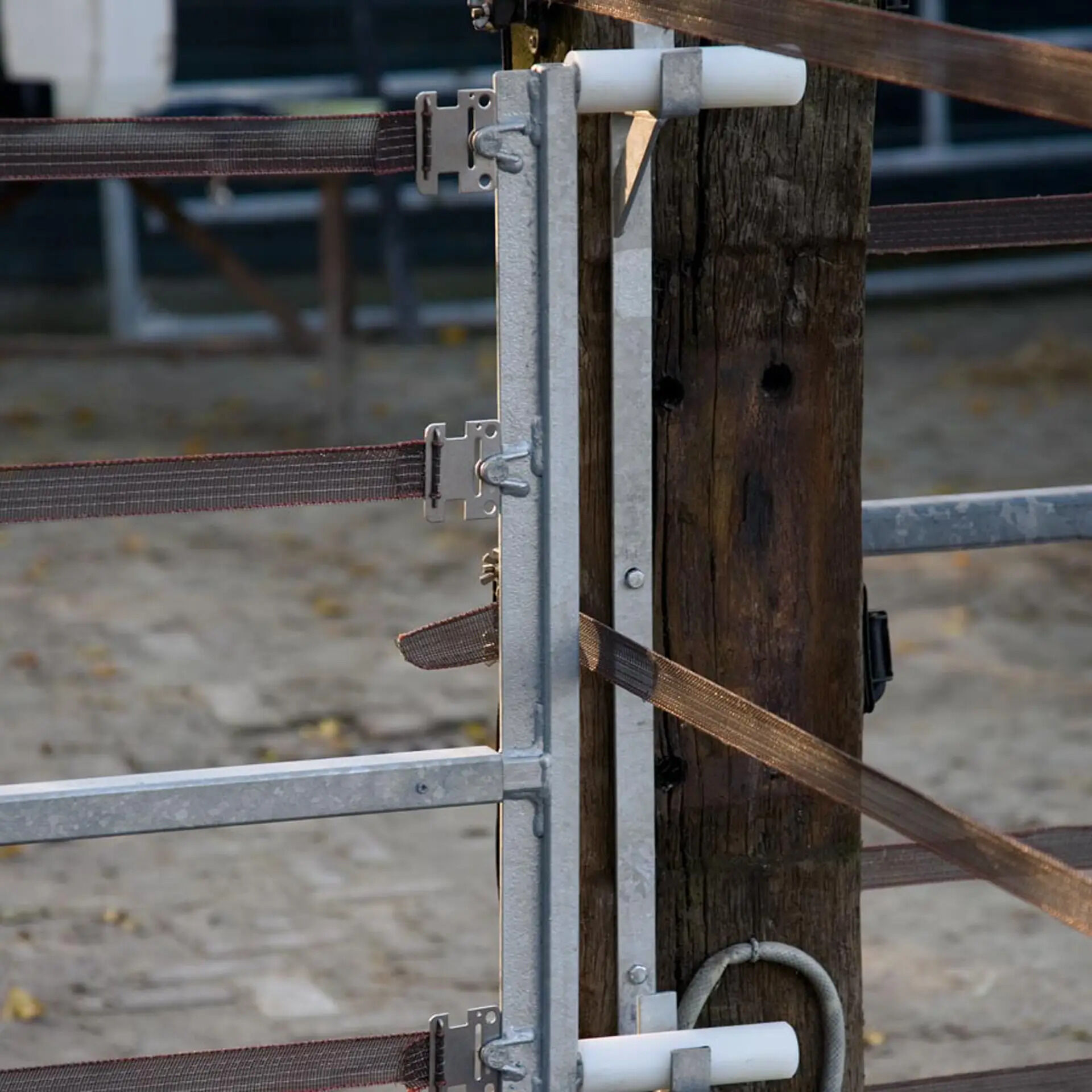 Gallagher - Elektrisch hek - 5 cm - 250 cm