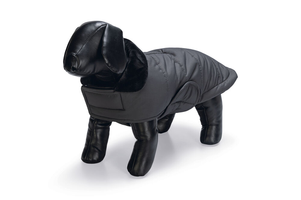 Designed By Lotte Zhanti - Hondenjas - grijs - 2XS Designed By Lotte Zhanti - Hondenjas - grijs - 2XS