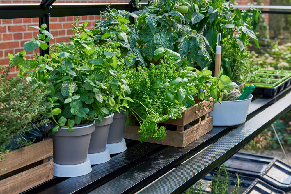 HALLS Qube 816 - Kweektafel