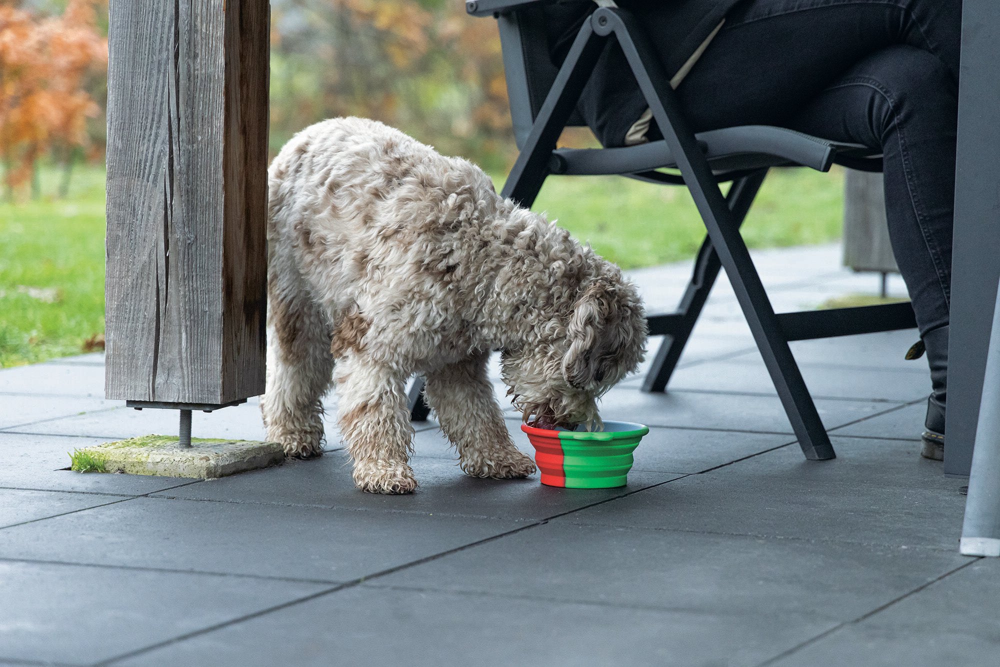 Beeztees Rua - Reis Voer & Drinkbak - Groen