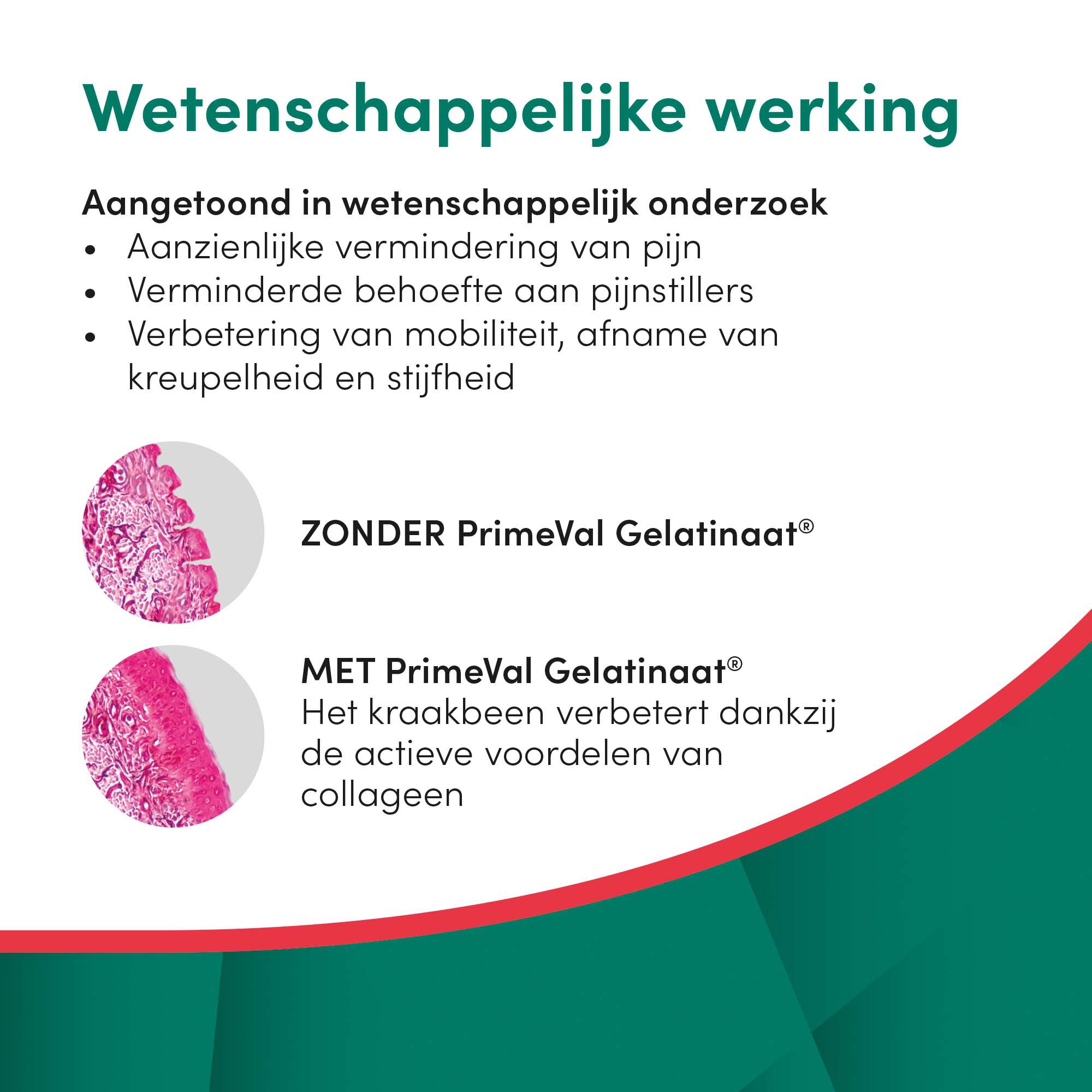 Primeval Gelatinaat Puppy - Voedingssupplement - 350 Gram