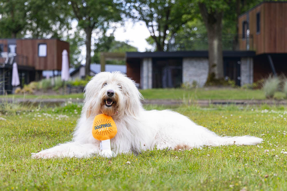 Beeztees Apawrol - Knuffel - Hondenspeelgoed - Oranje - 7.5x13x23 cm