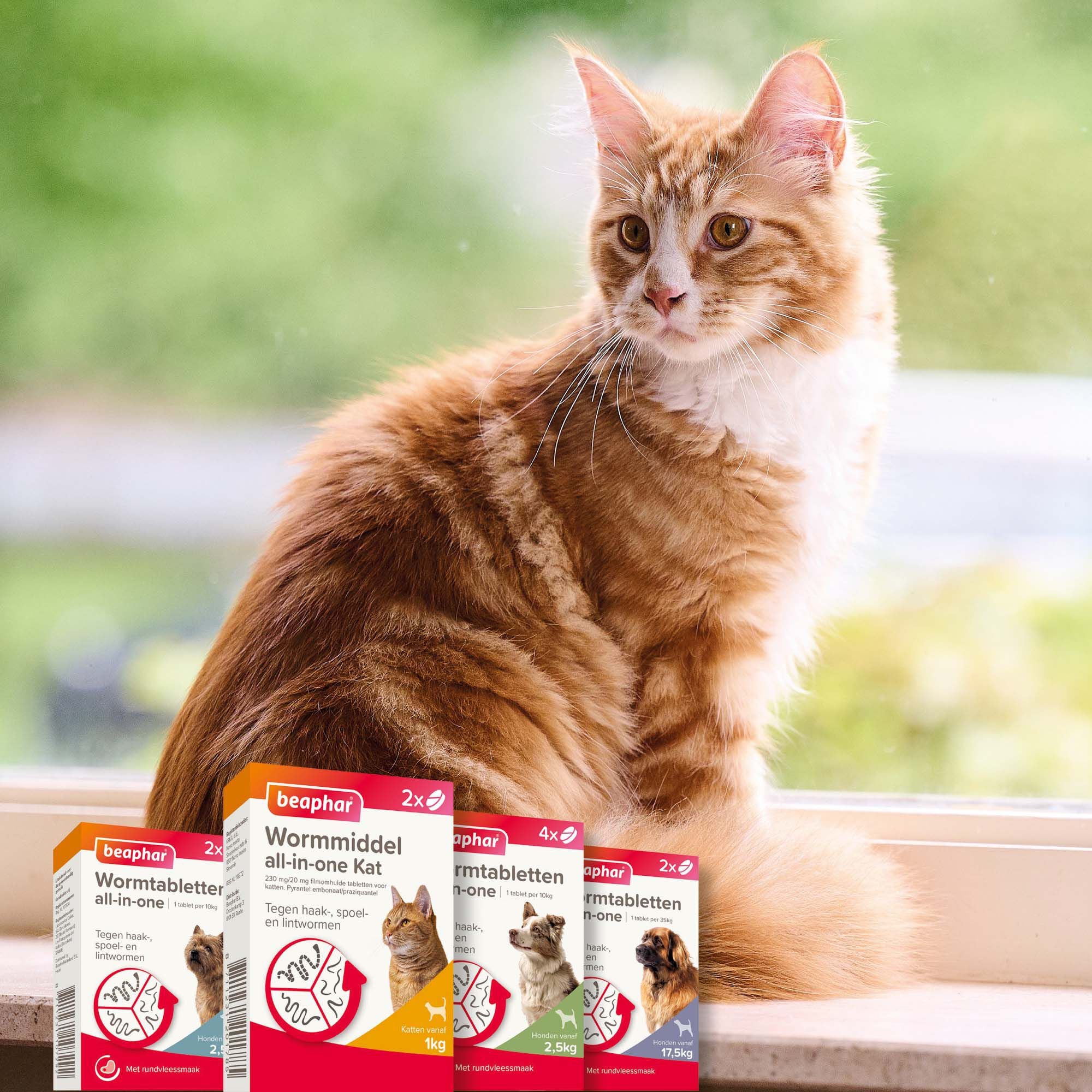 Beaphar all-in-one Tabletten - Ontwormen Kat en Kittens - 2 Stuks