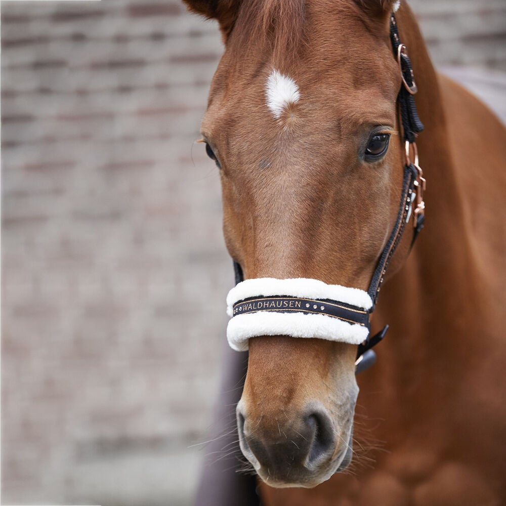 Waldhausen Elegant - Halster - Zwart Roze - Pony