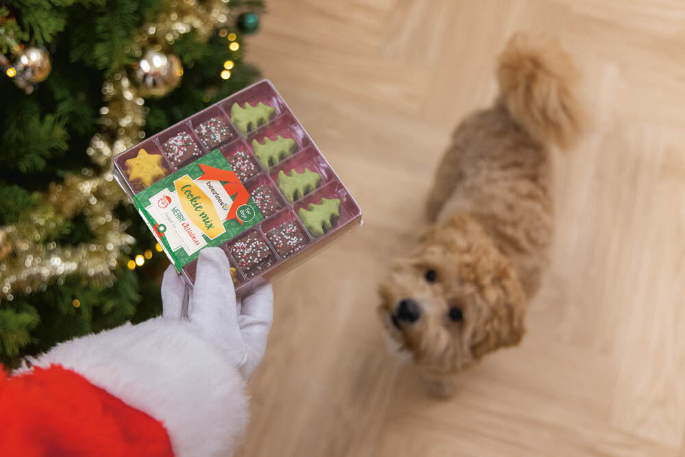 Beeztees mix - Kerstkoekjes - doos - 32 Stuks