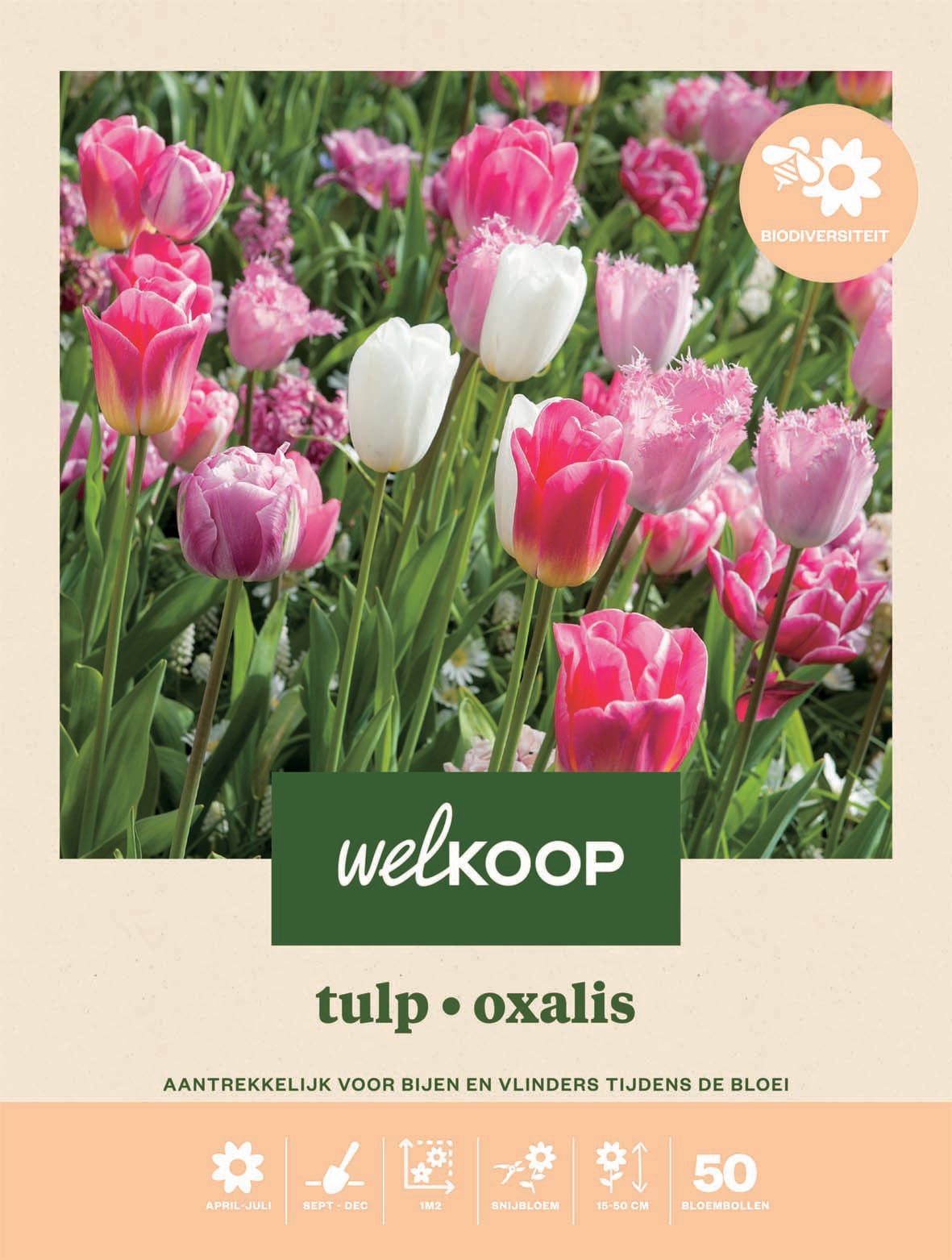 Welkoop Tulp Oxalis Biodiversiteit - Bloembollen