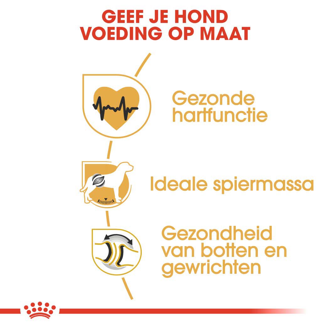 Royal Canin Rottweiler Adult - Hondenvoer - 12 Kilogram - gevogelte