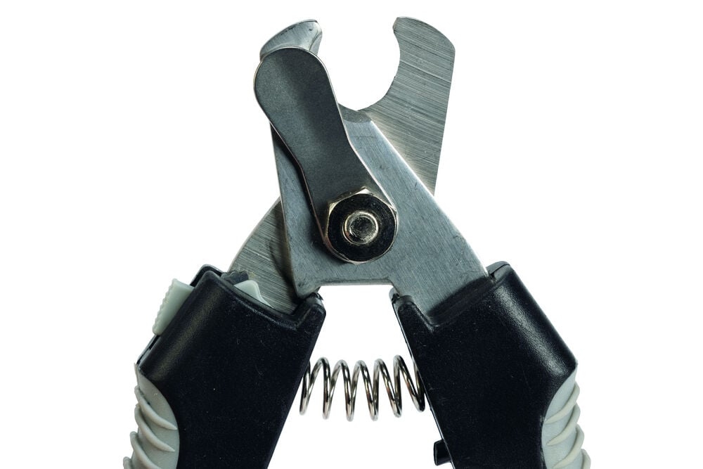 Beeztees - Nageltang - Zwart, grijs - L