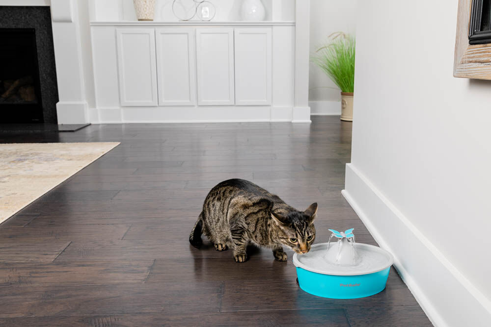 Petsafe Butterfly - Drinkfontein - 0.5 l - Blauw - 31x23x23 cm