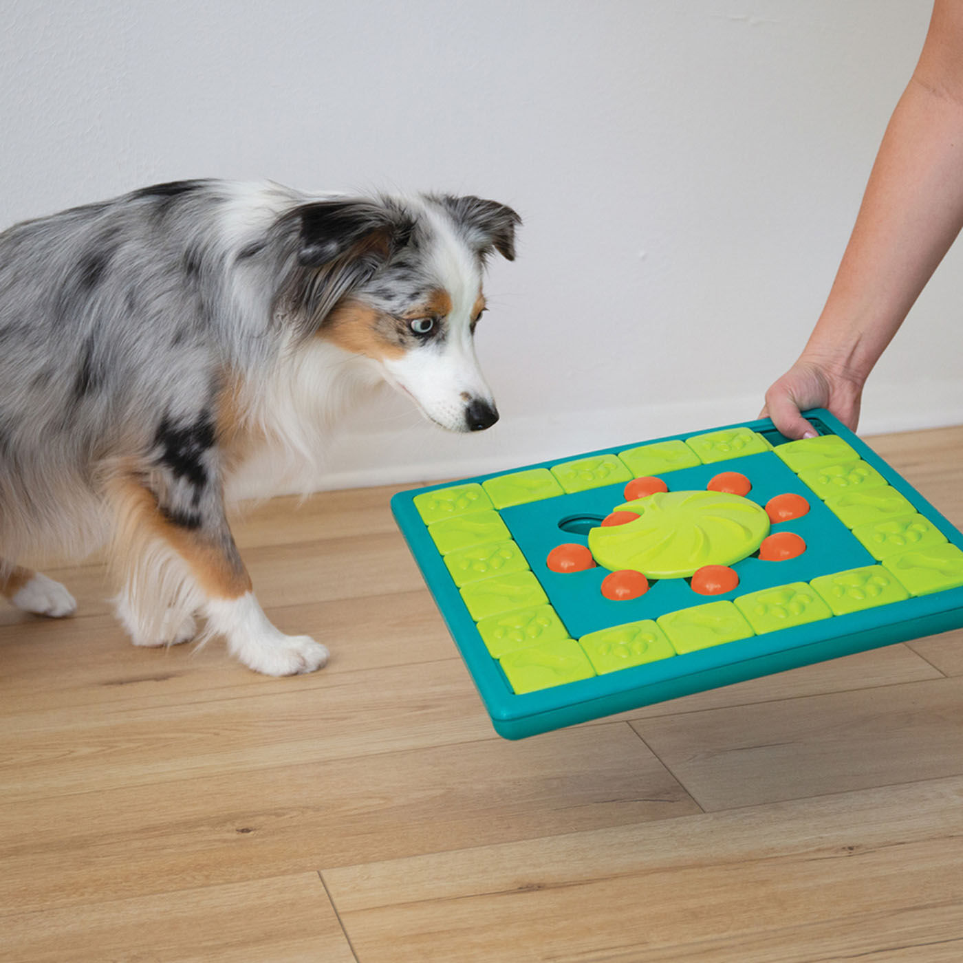 Nina Ottosson Multi Puzzel - Puzzel - Hondenspeelgoed - multi - 4.5x38.3x38.3 cm