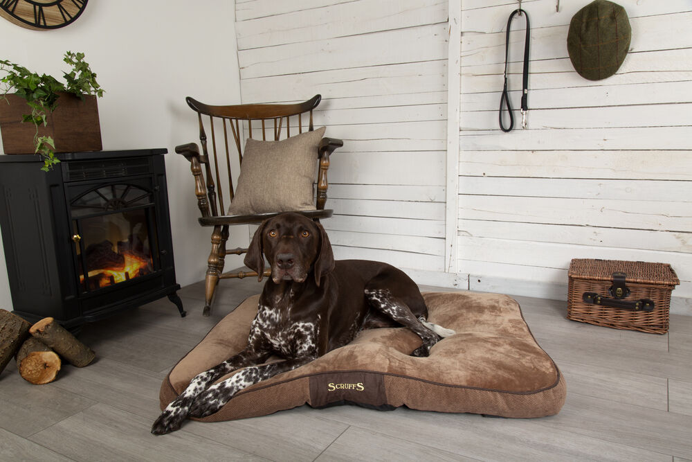 Scruffs Chester - Hondenkussen - bruin - 1x82x1 cm - L