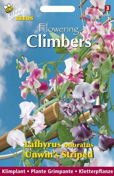 Buzzy Climbers Lathyrus Unwins - Bloemzaden Buzzy Climbers Lathyrus Unwins - Bloemzaden