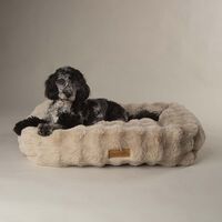 Scruffs Alpine - Hondenmand - Wit - 18x60x60 cm - L
