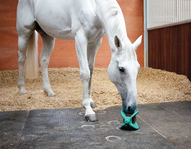 Bizzy Ball - Liksteenhouder - Aqua