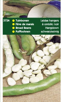 Hortitops Tuinbonen Vicia faba Leidse Hangers - Groentezaden - 250 Gram Hortitops Tuinbonen Vicia faba Leidse Hangers - Groentezaden - 250 Gram