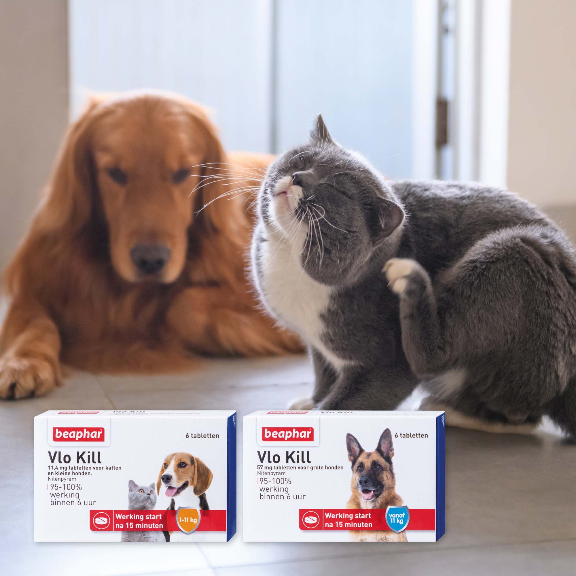 Beaphar Vlo Kill Hond en Kat tot 11kg - Vlooienmiddel - 6 Meter
