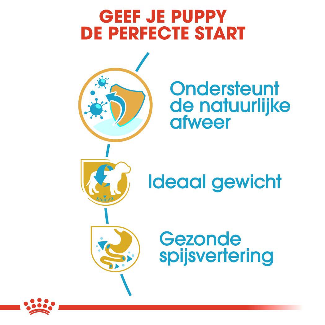 Royal Canin Mini Schnauzer Junior - Hondenvoer - 1.5 Kilogram - gevogelte