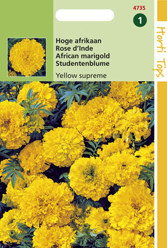 Hortitops Hoge Afrikaan Yellow Supreme - Bloemzaden