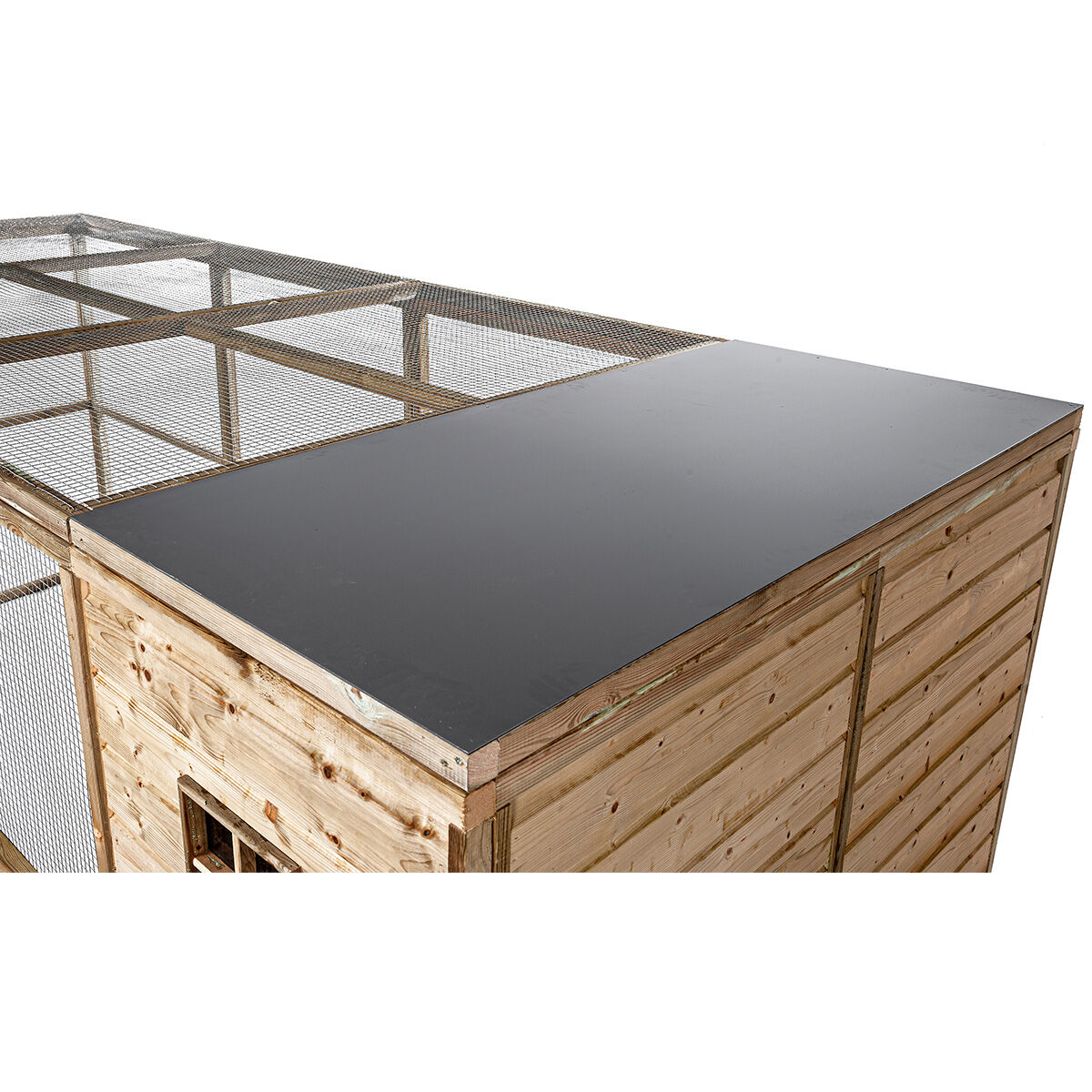 Glorenza - Kippenren - Naturel - Rechts - L