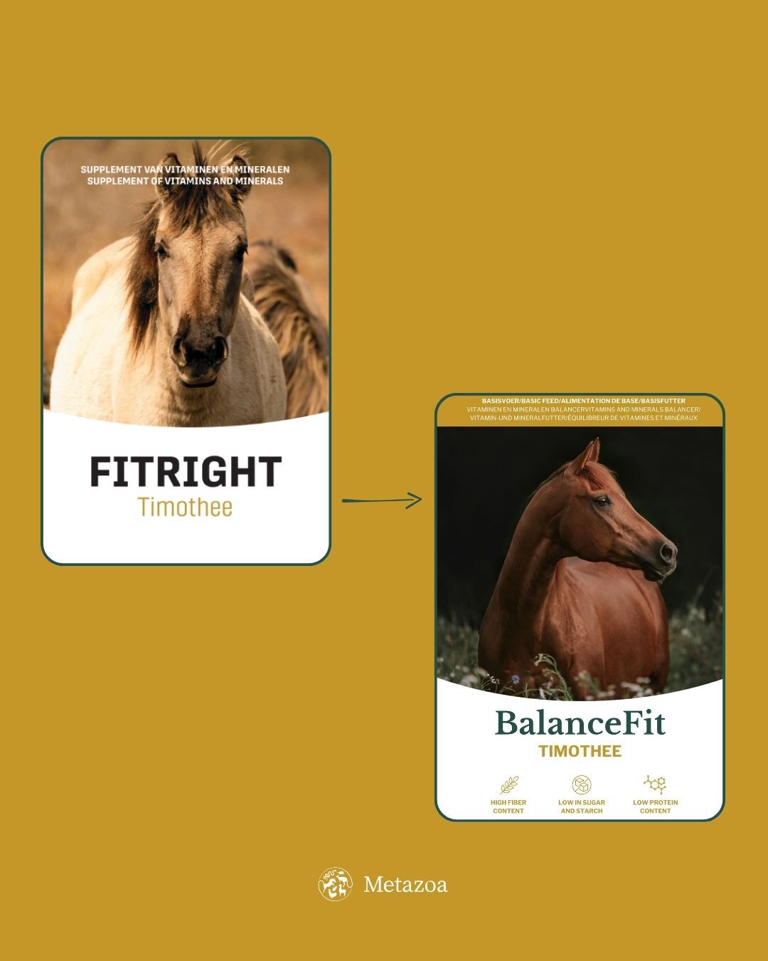 Metazoa Fitright Timothee - Specialiteit - Paardenvoer - 15 Kilogram - Zak