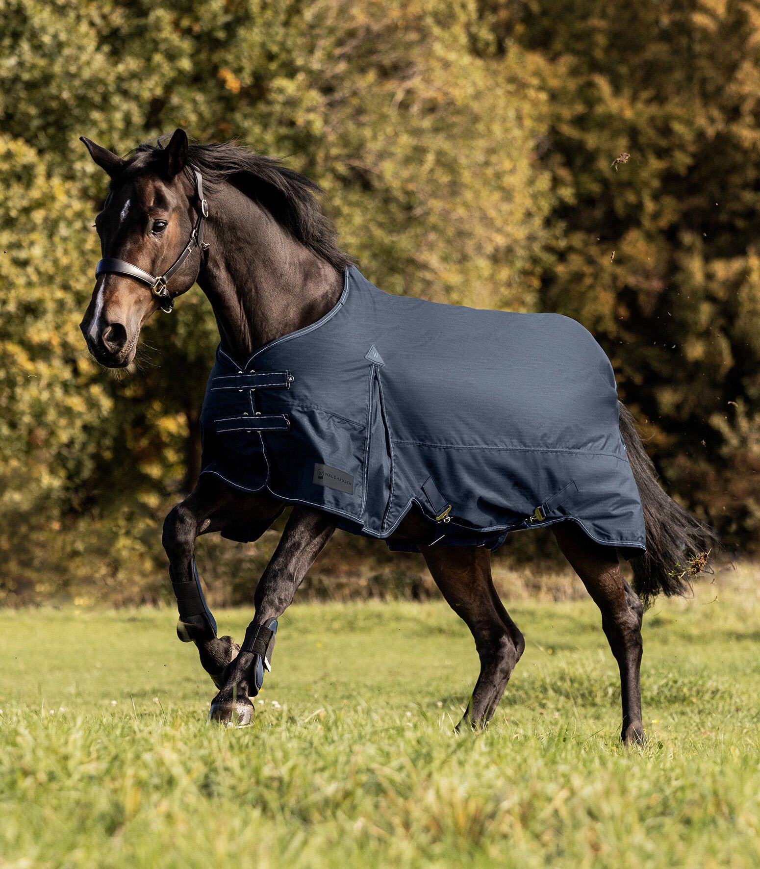 Waldhausen Arctic 100 gr - Winterdeken - Paardendeken - Blauw - 115/165